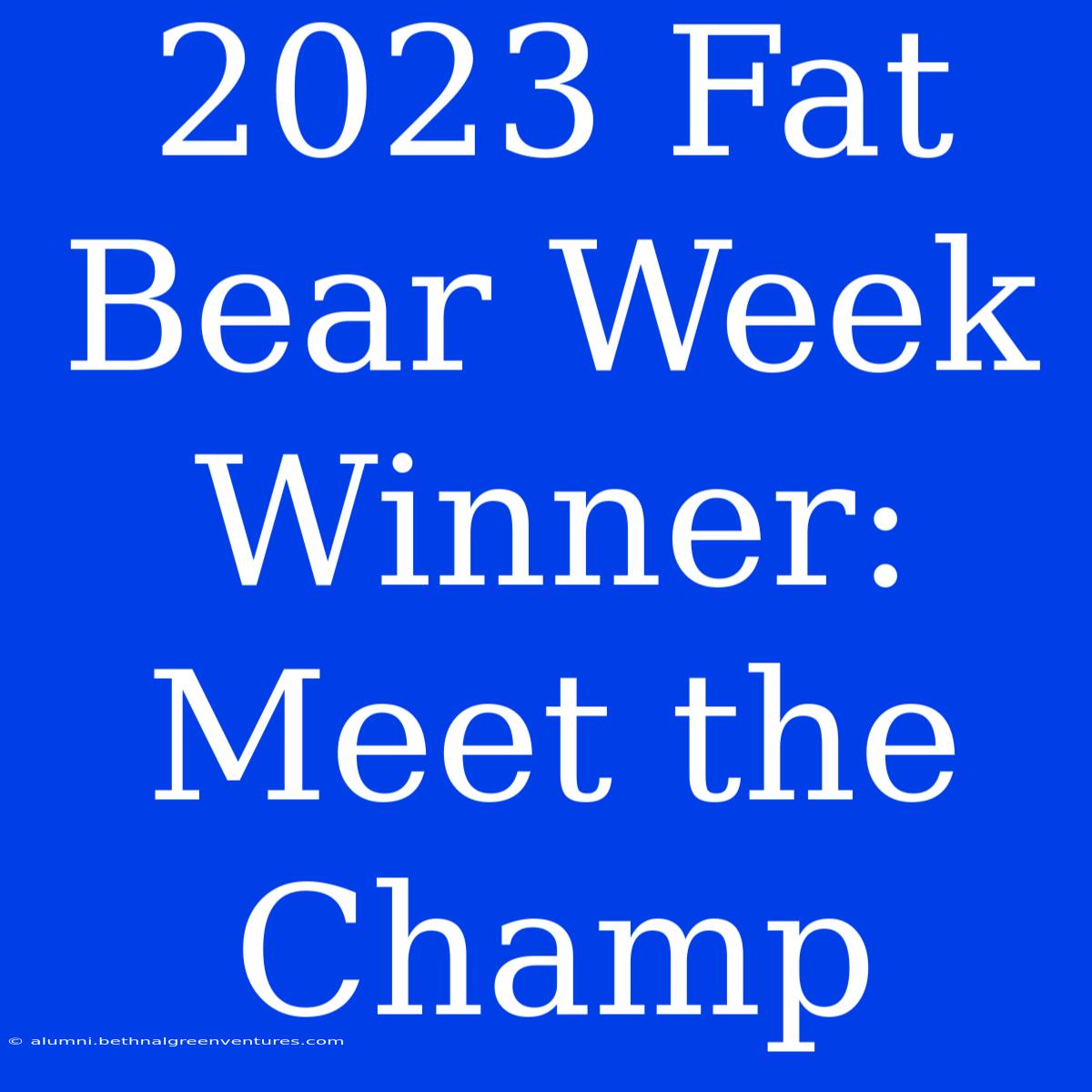 2023 Fat Bear Week Winner: Meet The Champ