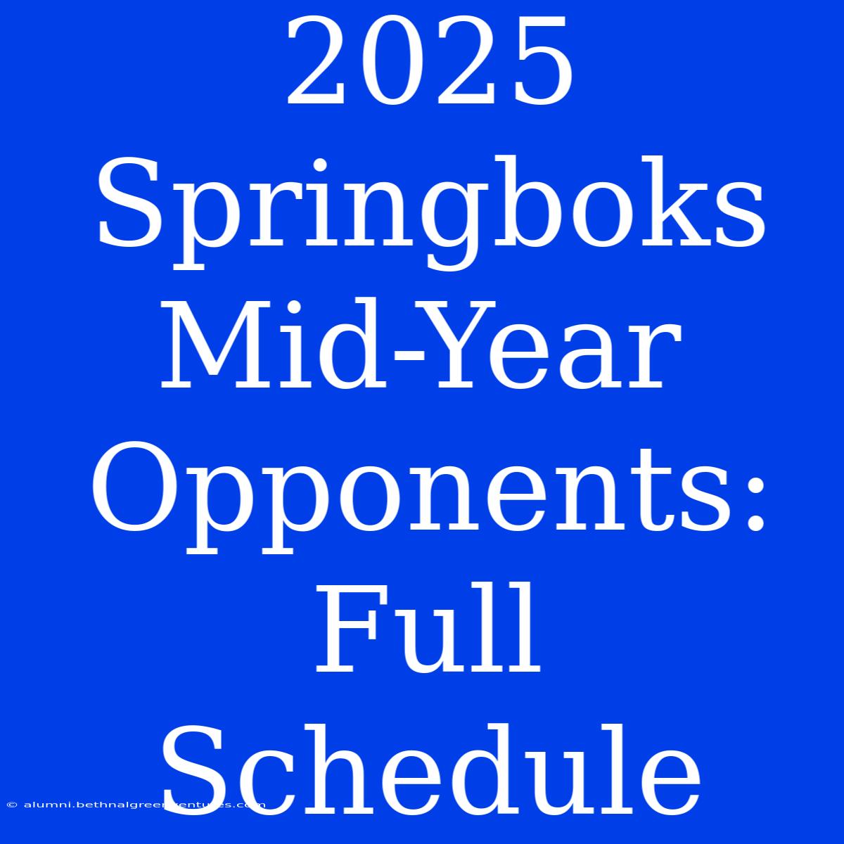 2025 Springboks Mid-Year Opponents: Full Schedule