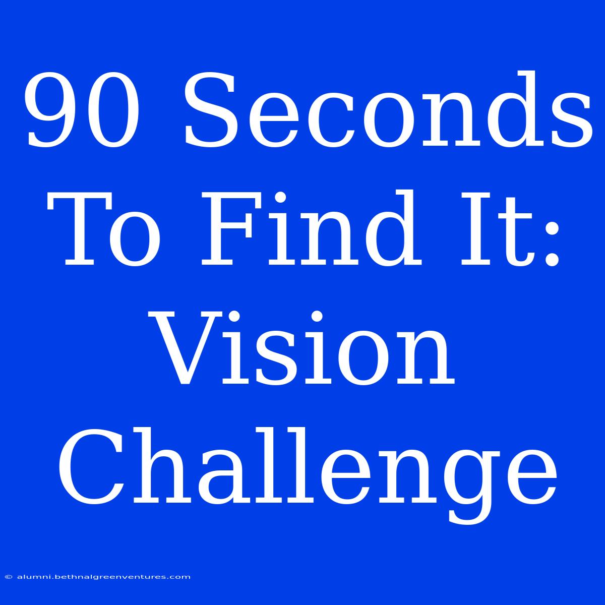 90 Seconds To Find It:  Vision Challenge