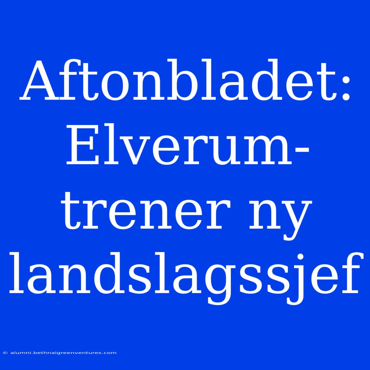 Aftonbladet: Elverum-trener Ny Landslagssjef 