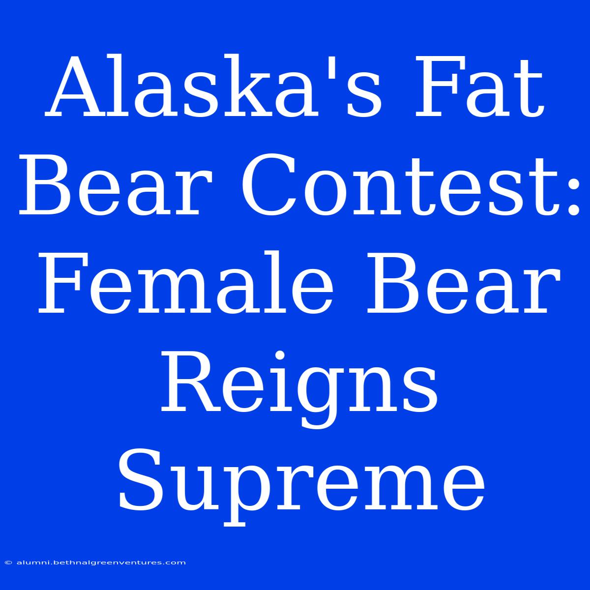 Alaska's Fat Bear Contest:  Female Bear Reigns Supreme