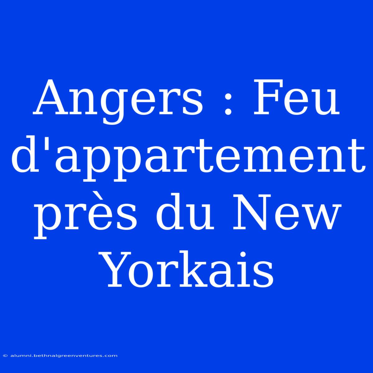 Angers : Feu D'appartement Près Du New Yorkais