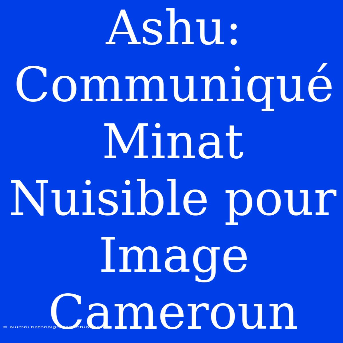 Ashu: Communiqué Minat Nuisible Pour Image Cameroun