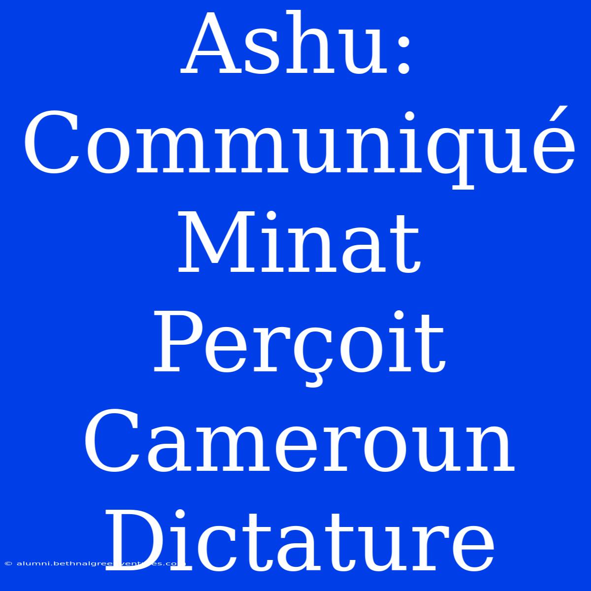 Ashu: Communiqué Minat Perçoit Cameroun Dictature