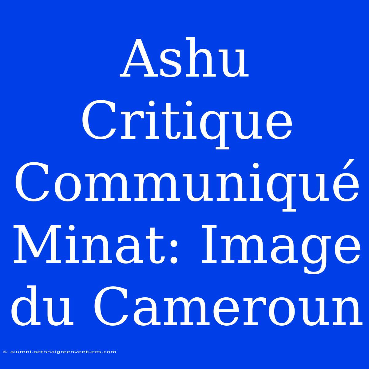 Ashu Critique Communiqué Minat: Image Du Cameroun