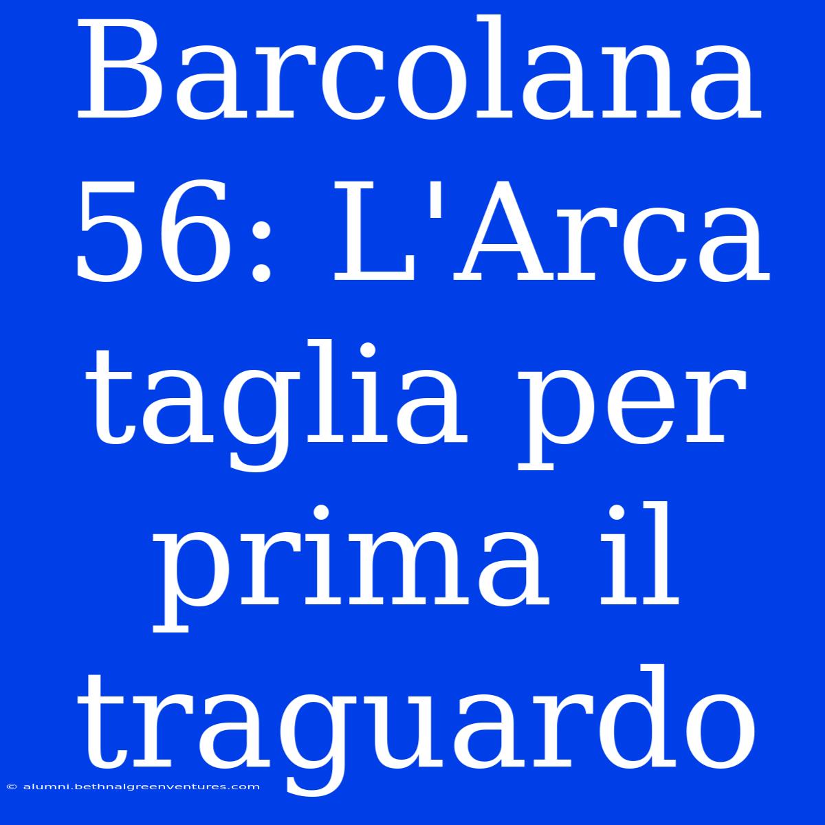 Barcolana 56: L'Arca Taglia Per Prima Il Traguardo