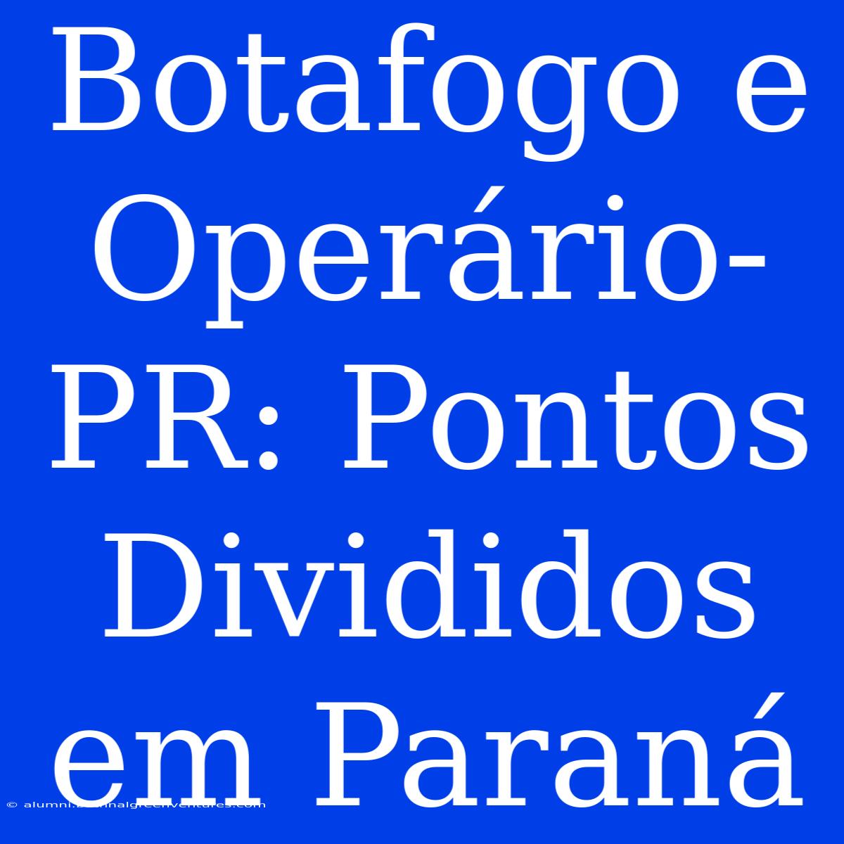 Botafogo E Operário-PR: Pontos Divididos Em Paraná