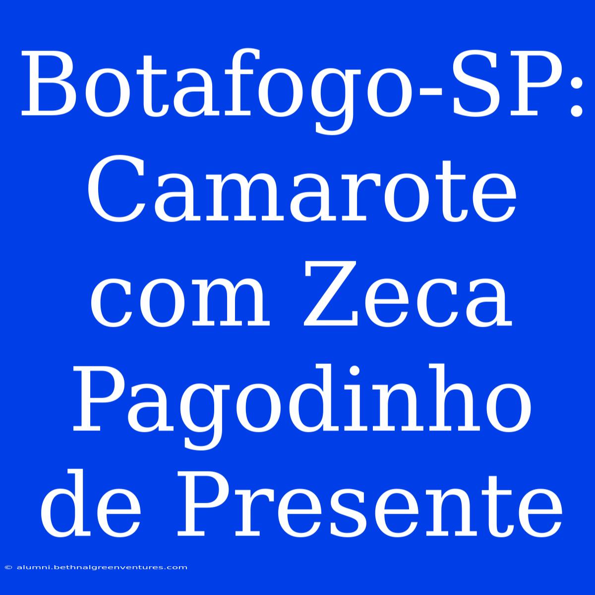 Botafogo-SP: Camarote Com Zeca Pagodinho De Presente 