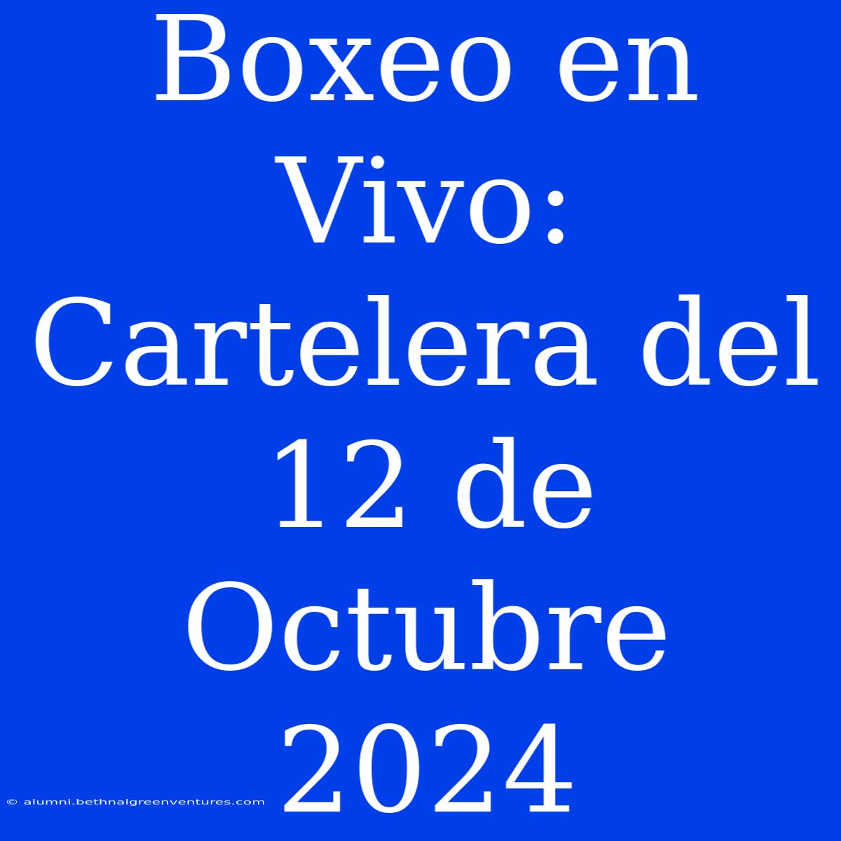 Boxeo En Vivo: Cartelera Del 12 De Octubre 2024