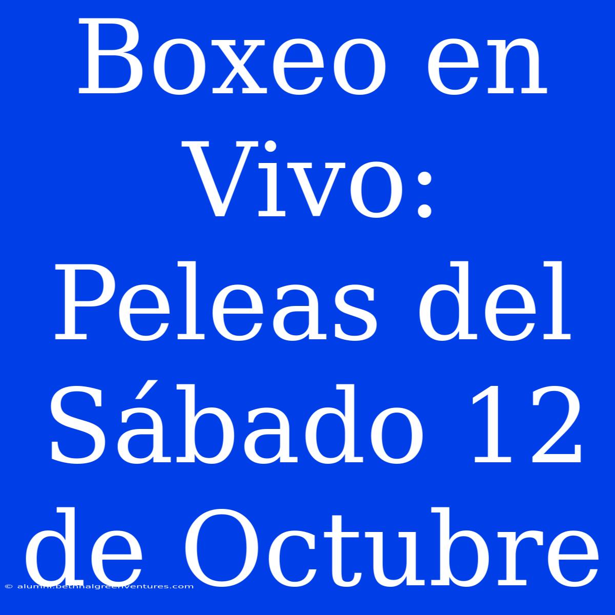 Boxeo En Vivo: Peleas Del Sábado 12 De Octubre