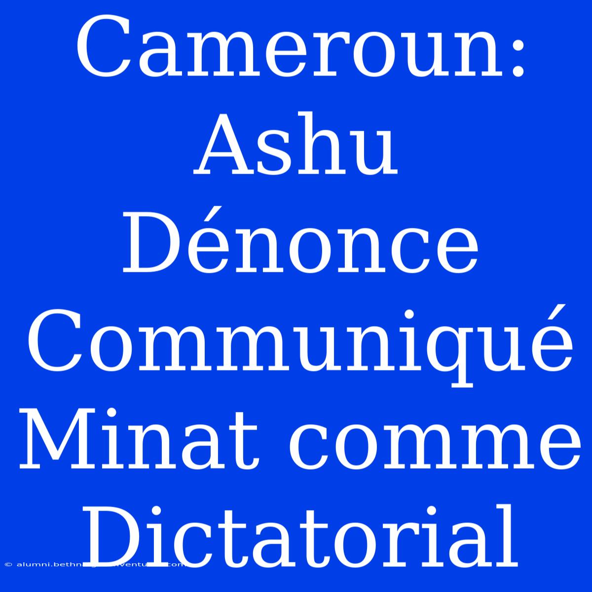 Cameroun: Ashu Dénonce Communiqué Minat Comme Dictatorial