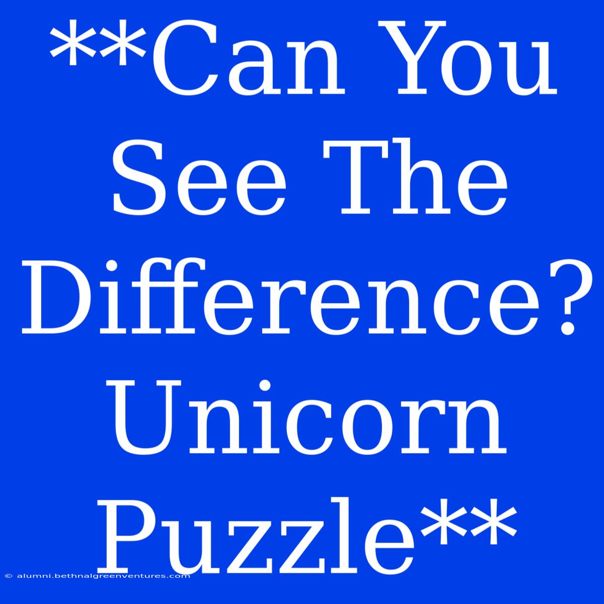 **Can You See The Difference? Unicorn Puzzle**