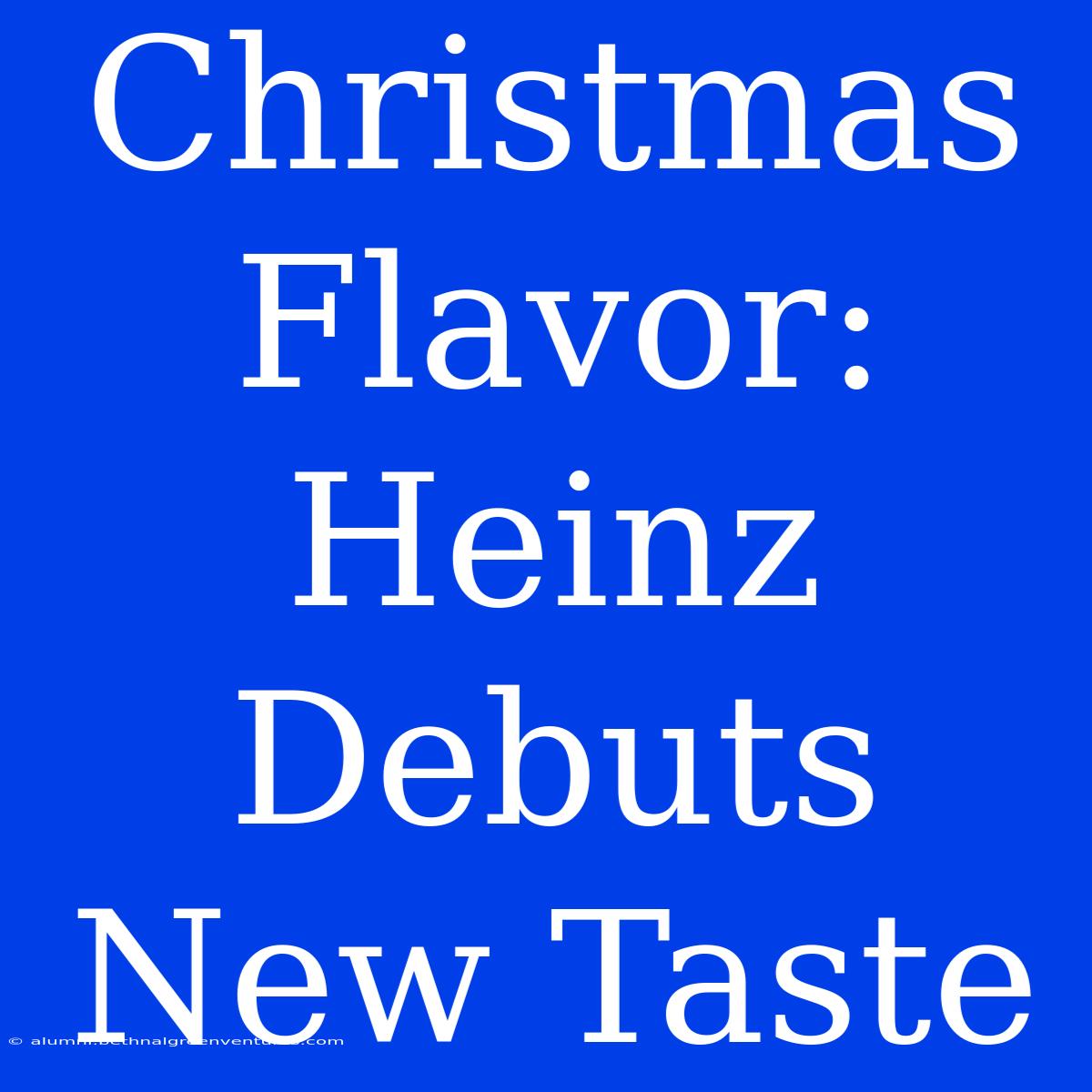 Christmas Flavor: Heinz Debuts New Taste