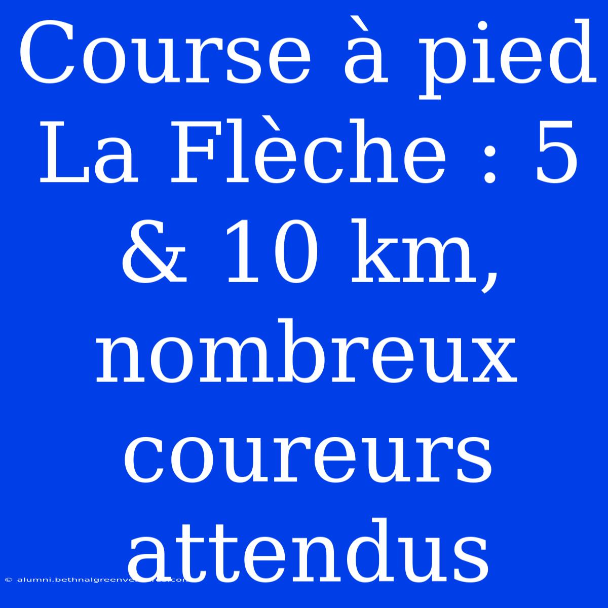 Course À Pied La Flèche : 5 & 10 Km, Nombreux Coureurs Attendus