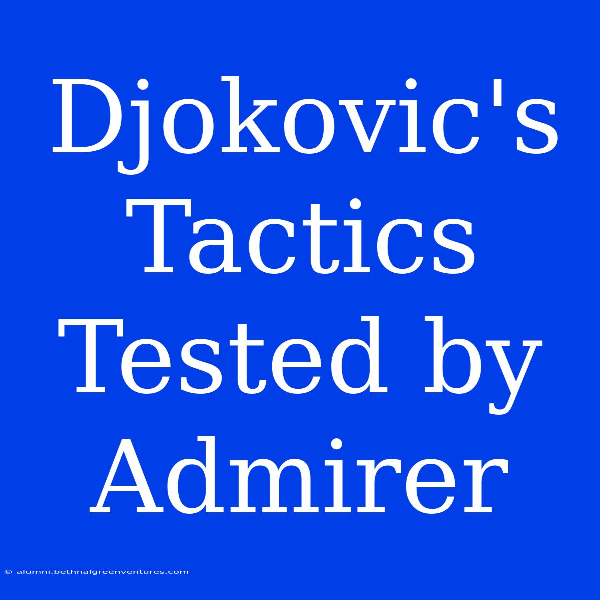 Djokovic's Tactics Tested By Admirer