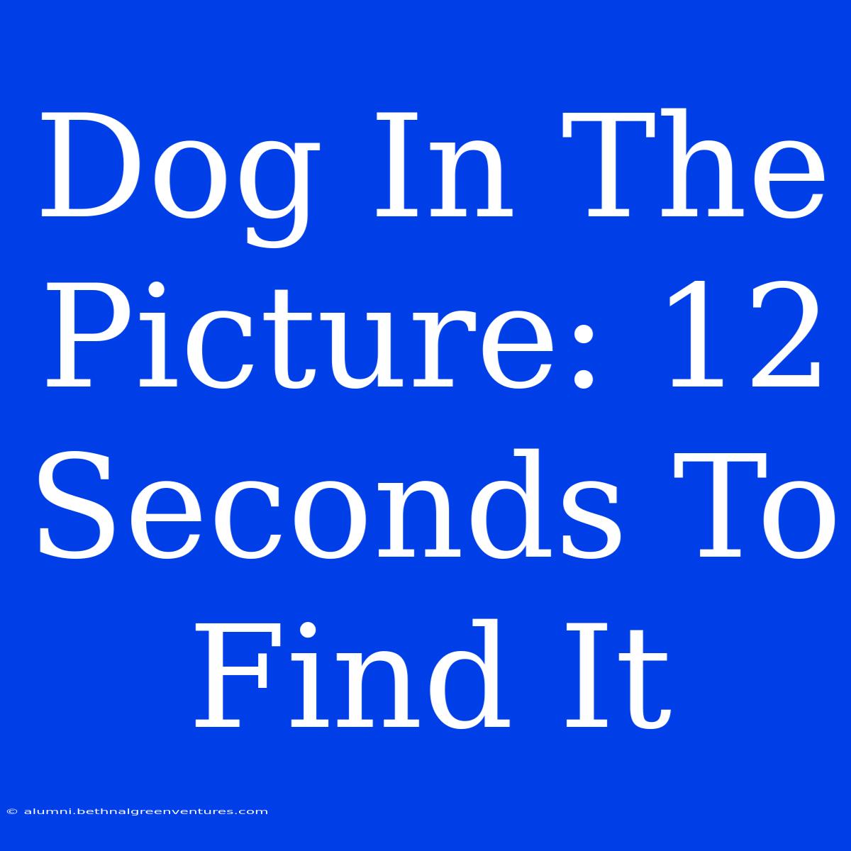 Dog In The Picture: 12 Seconds To Find It 