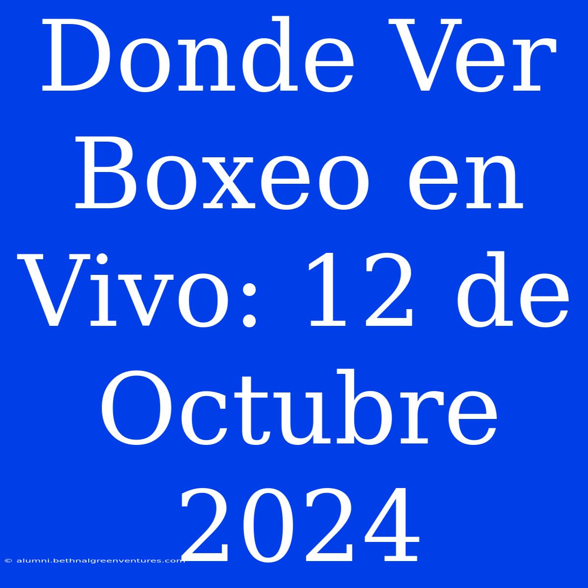 Donde Ver Boxeo En Vivo: 12 De Octubre 2024