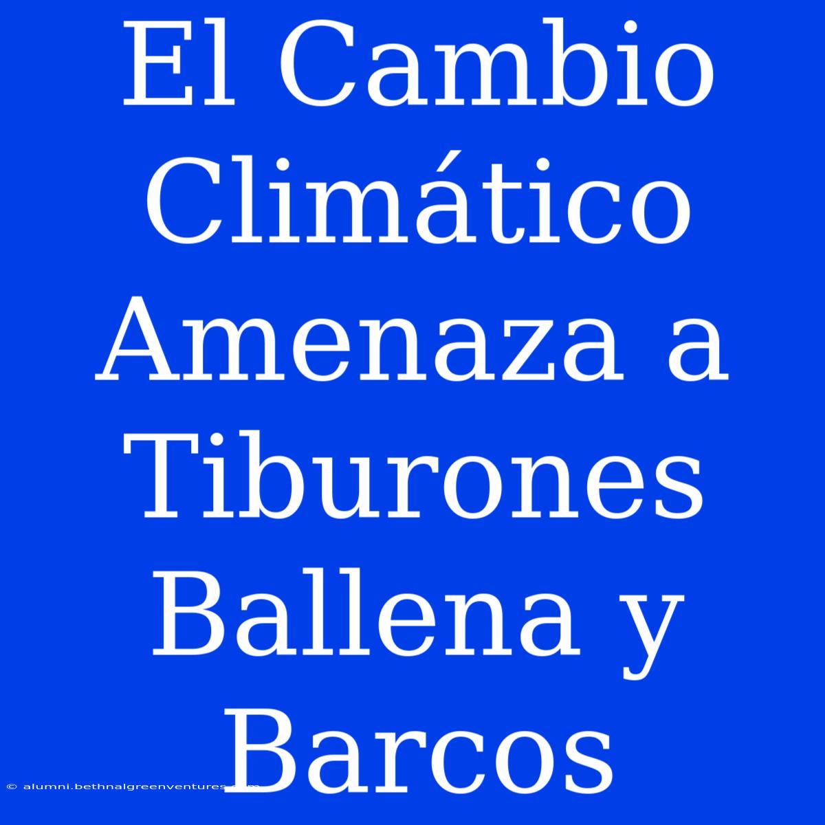 El Cambio Climático Amenaza A Tiburones Ballena Y Barcos