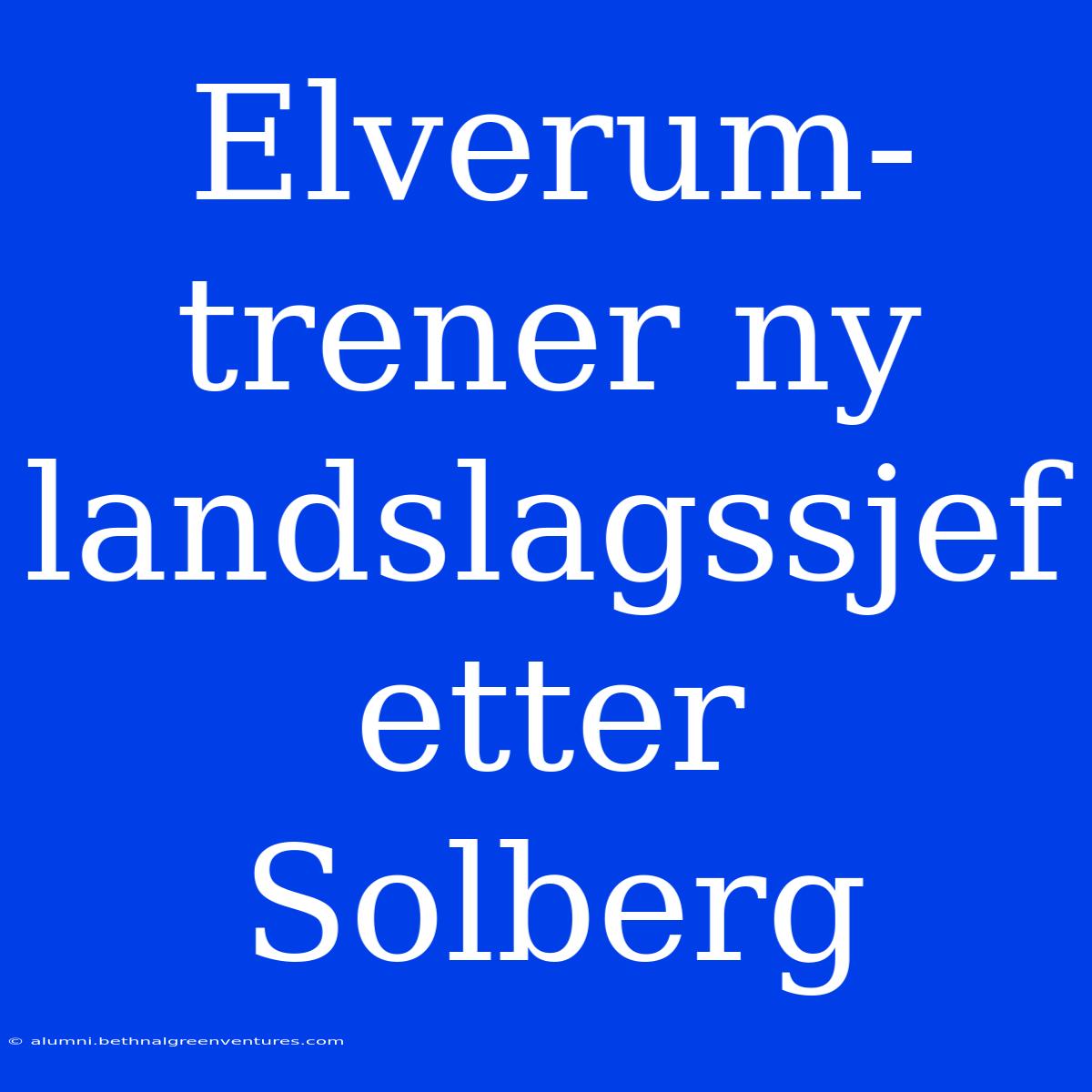 Elverum-trener Ny Landslagssjef Etter Solberg