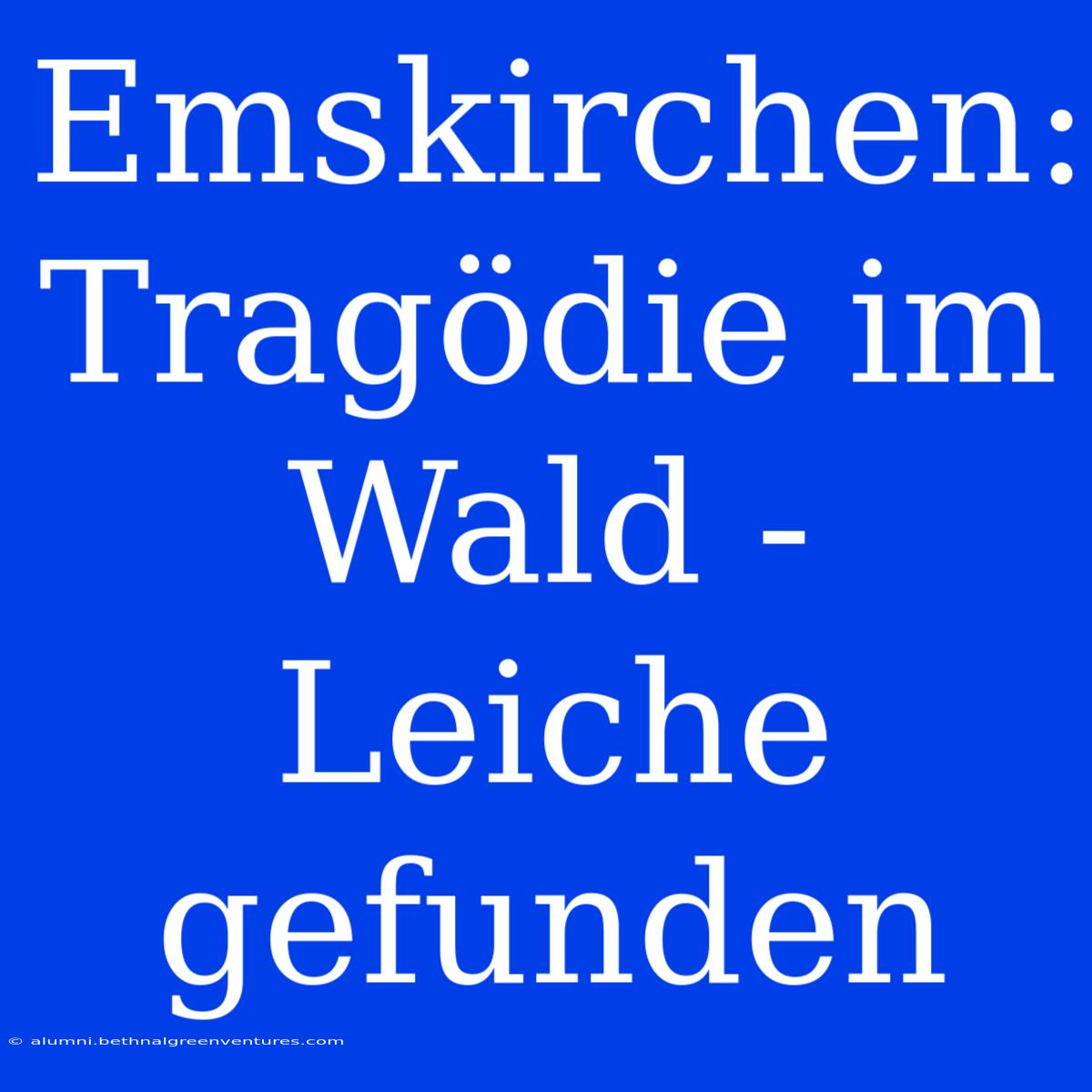 Emskirchen: Tragödie Im Wald - Leiche Gefunden