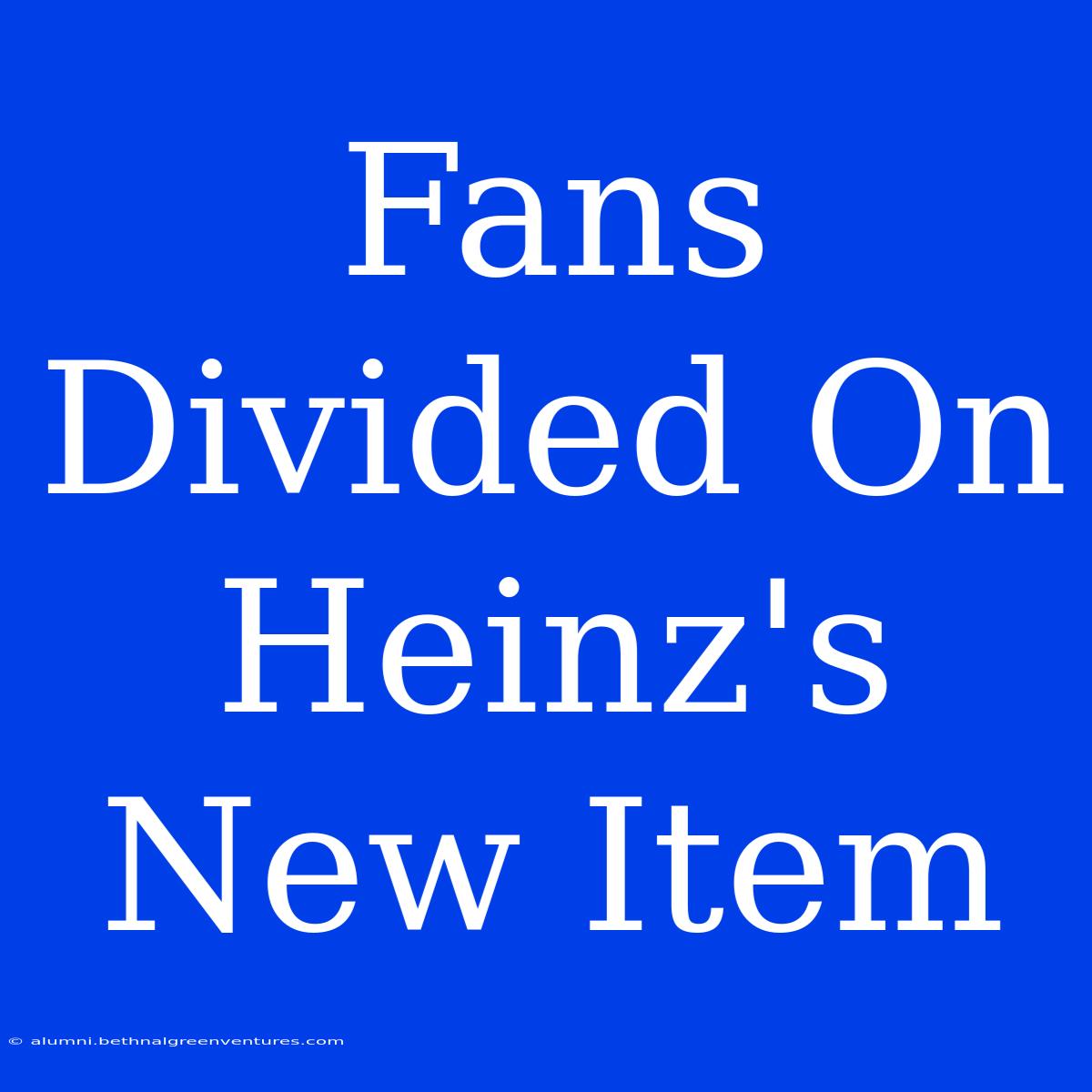 Fans Divided On Heinz's New Item 