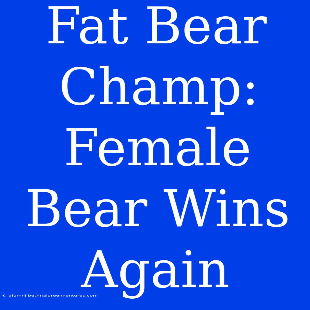 Fat Bear Champ: Female Bear Wins Again