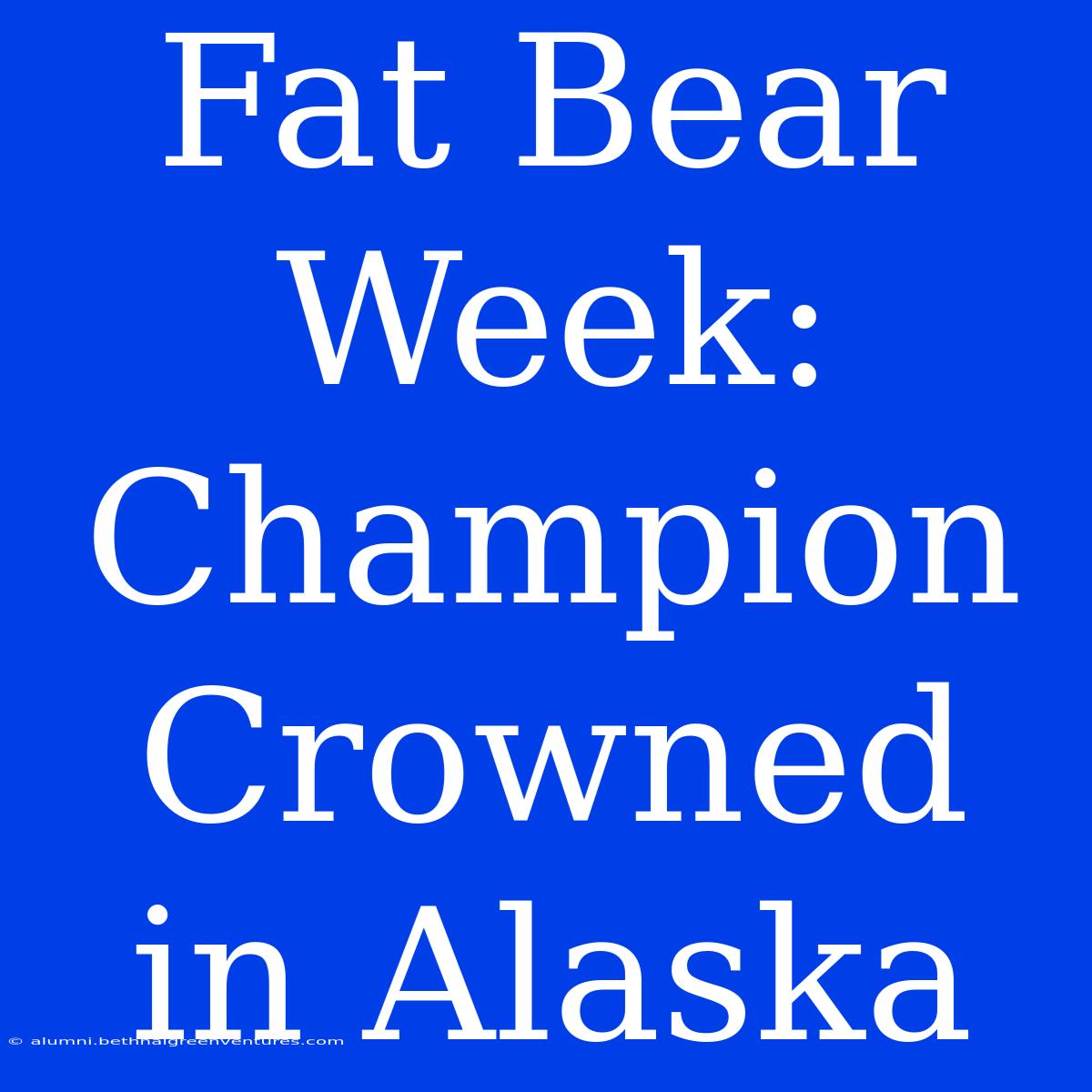 Fat Bear Week: Champion Crowned In Alaska