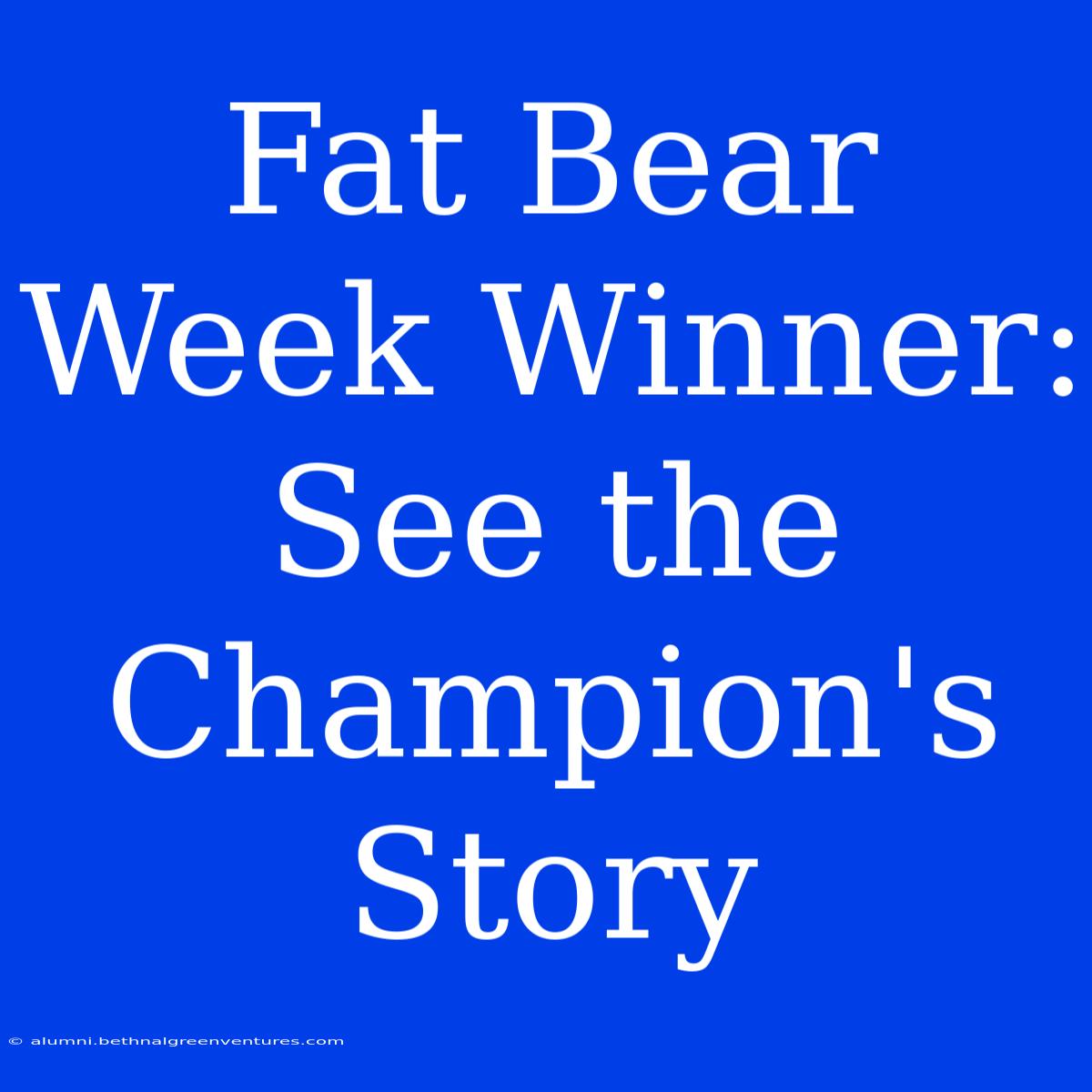 Fat Bear Week Winner: See The Champion's Story