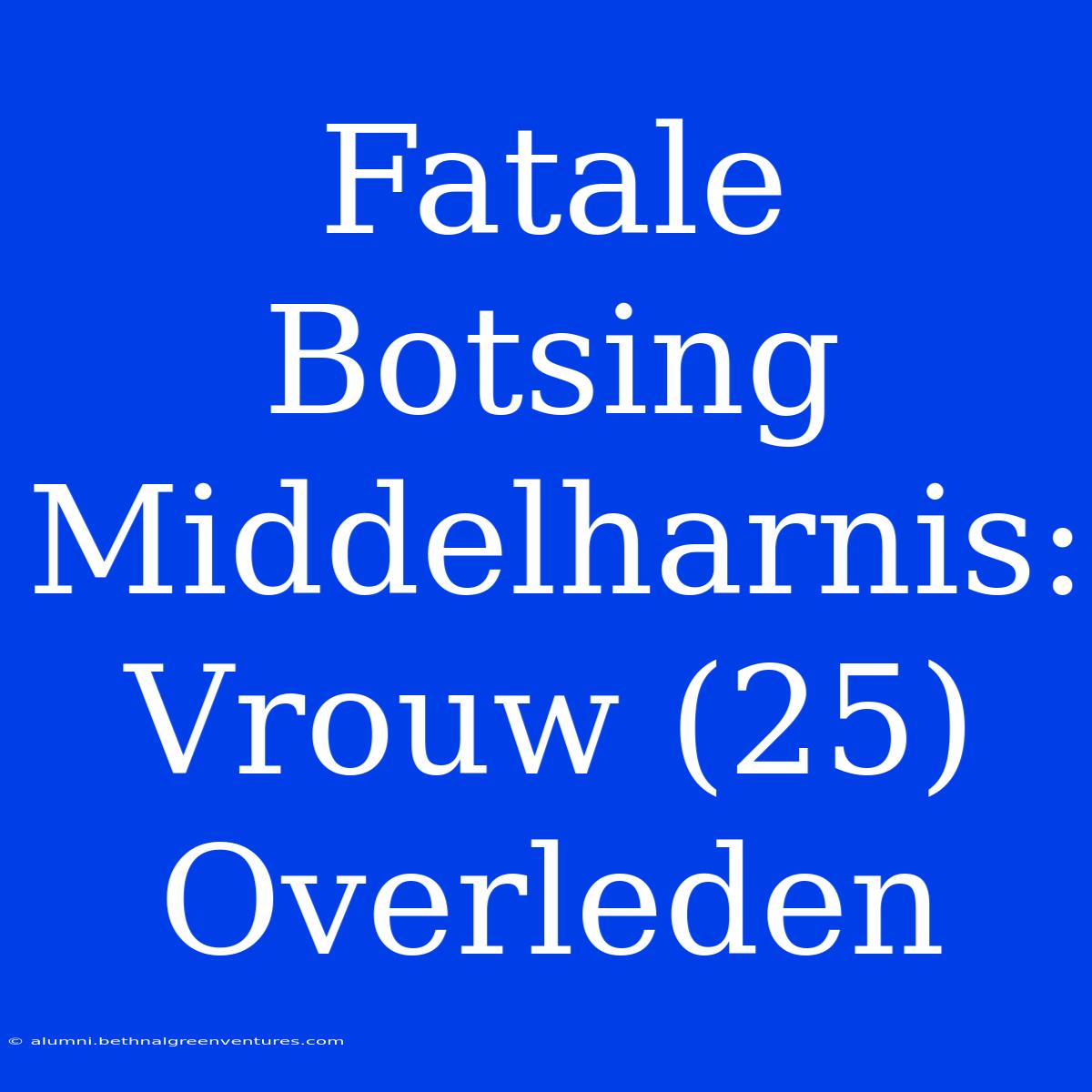 Fatale Botsing Middelharnis: Vrouw (25) Overleden