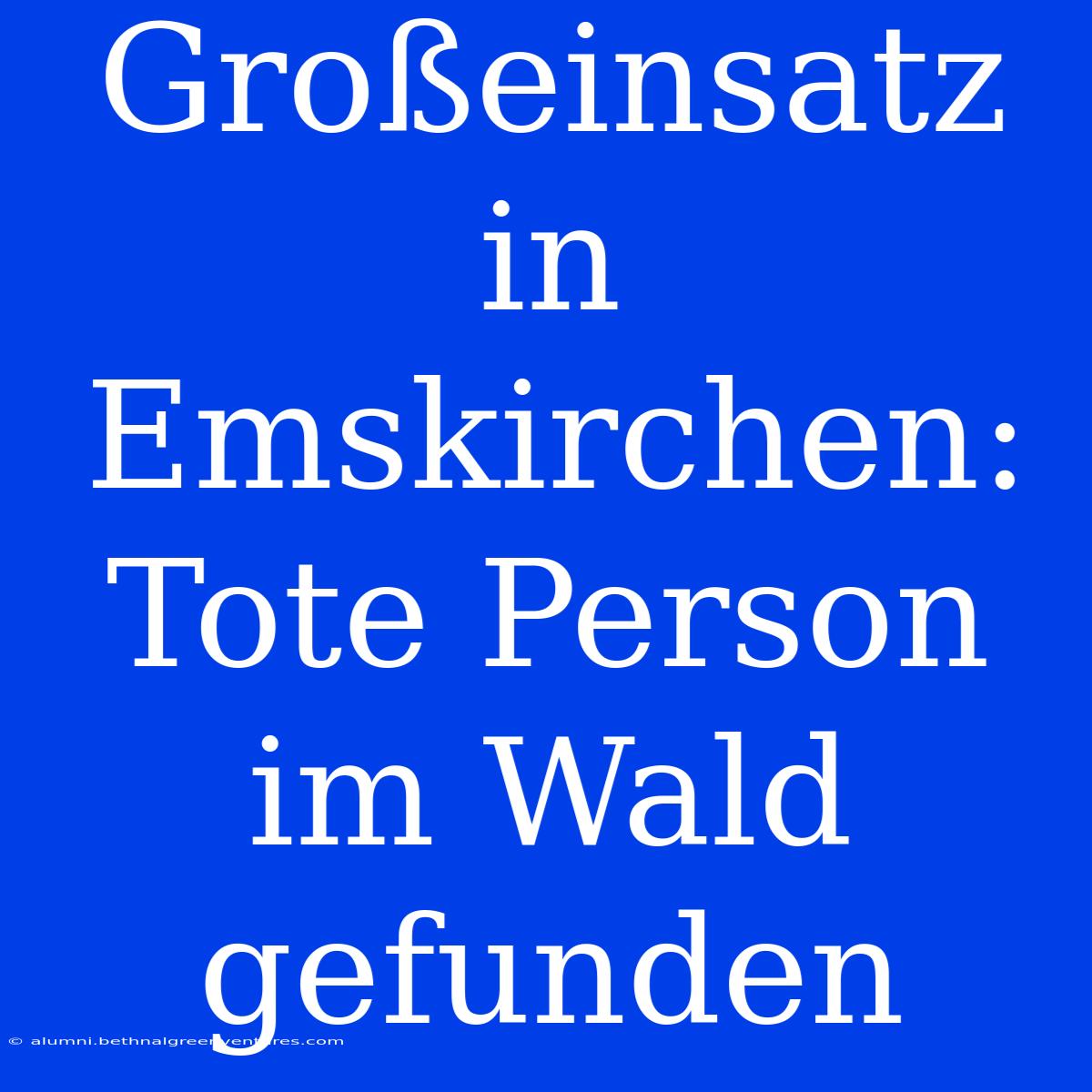 Großeinsatz In Emskirchen: Tote Person Im Wald Gefunden