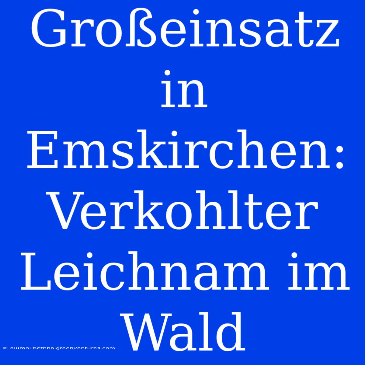 Großeinsatz In Emskirchen: Verkohlter Leichnam Im Wald