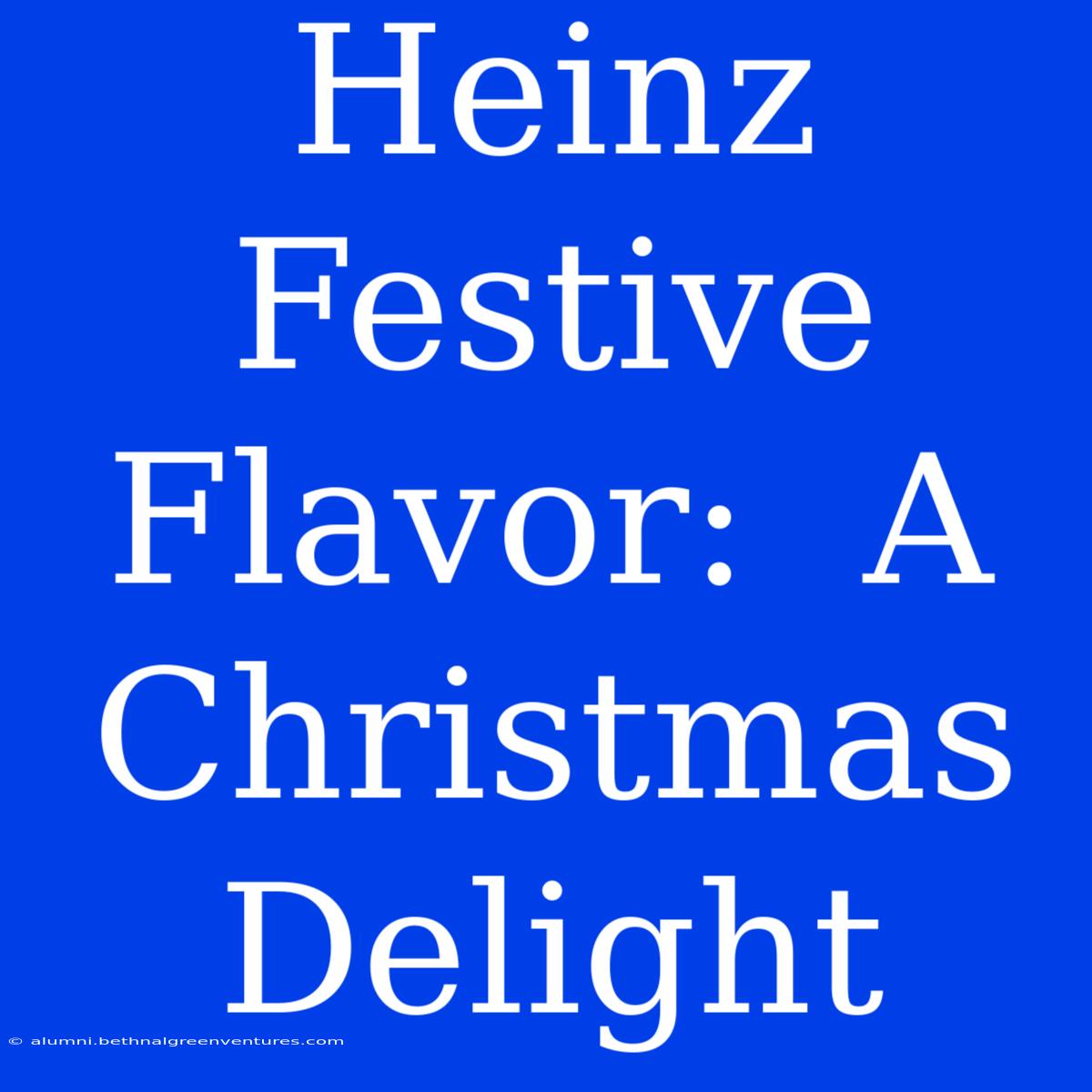 Heinz Festive Flavor:  A Christmas Delight