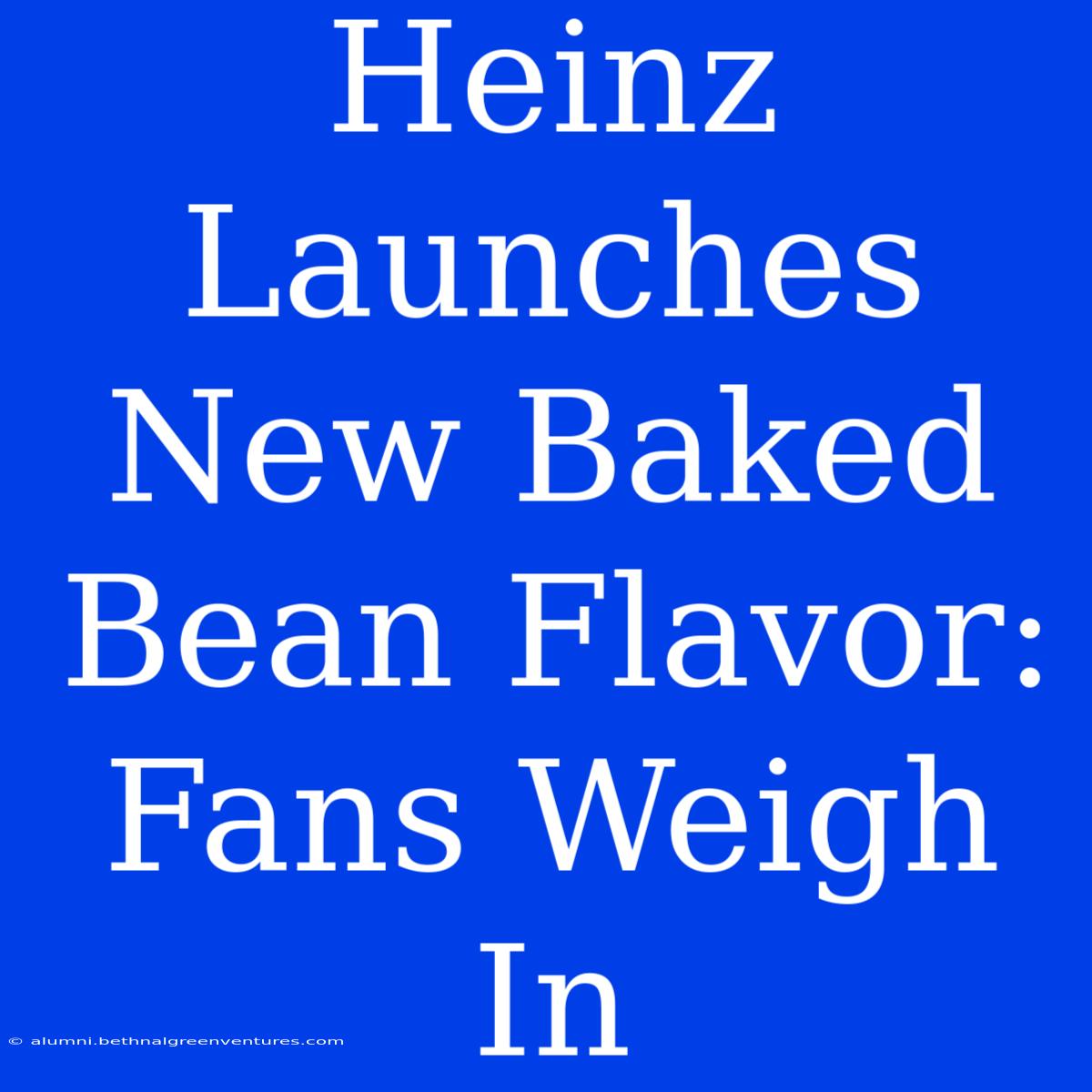 Heinz Launches New Baked Bean Flavor: Fans Weigh In