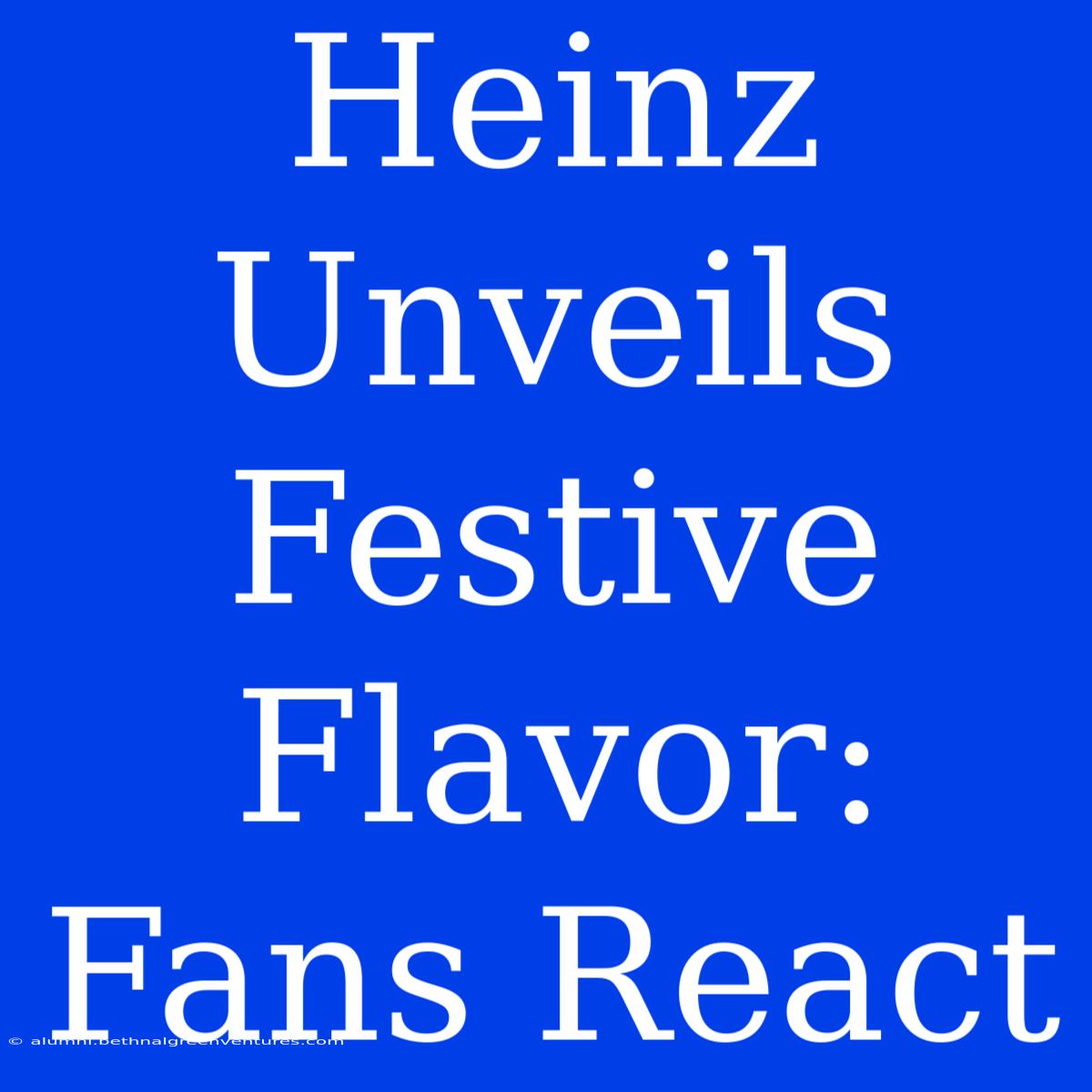 Heinz Unveils Festive Flavor:  Fans React