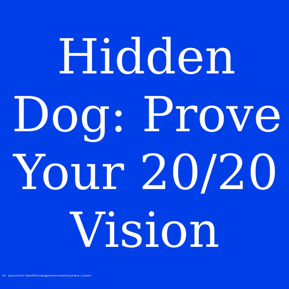 Hidden Dog: Prove Your 20/20 Vision