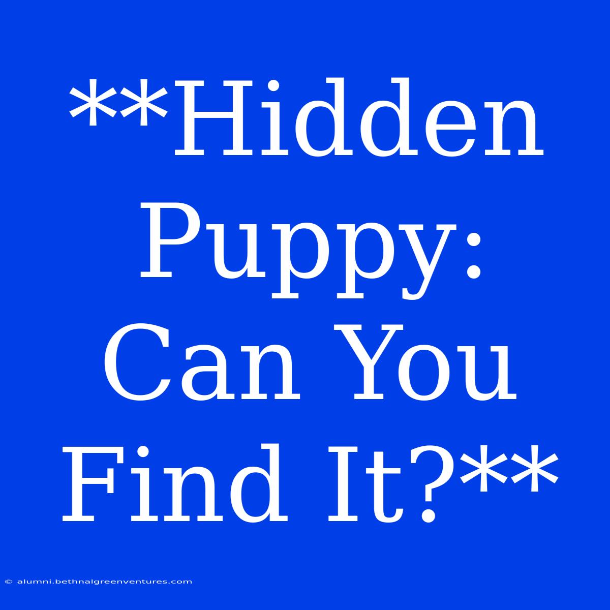 **Hidden Puppy: Can You Find It?**