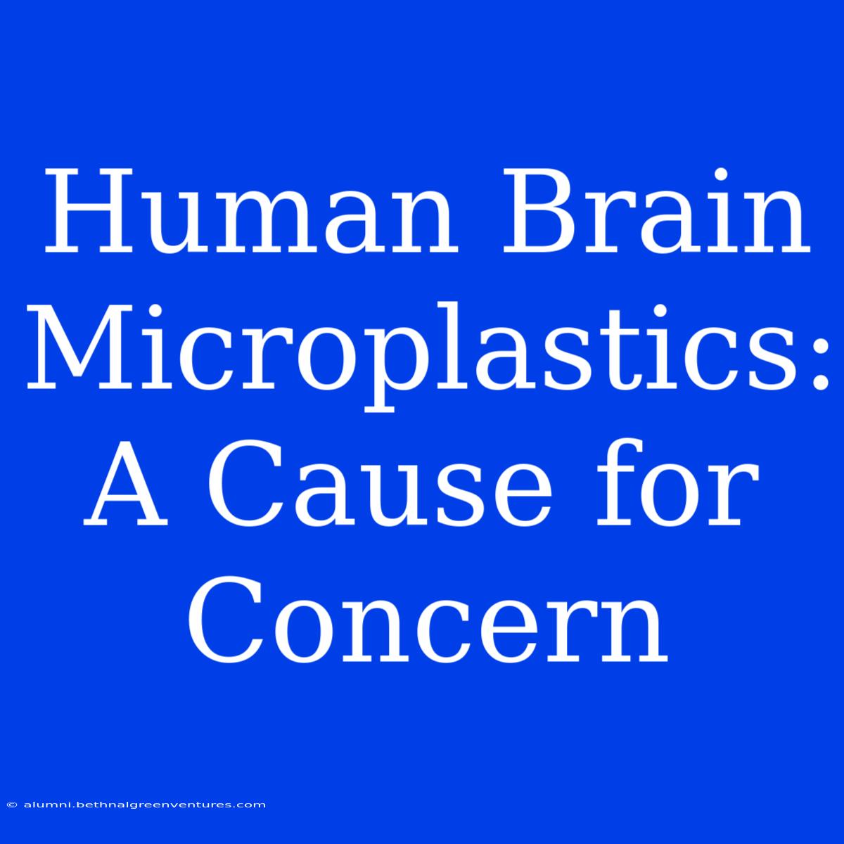 Human Brain Microplastics: A Cause For Concern 