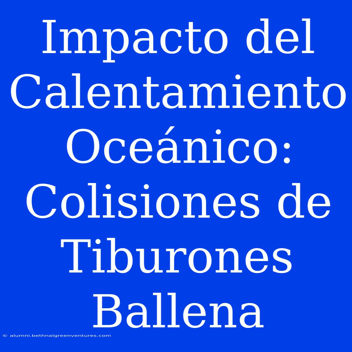 Impacto Del Calentamiento Oceánico: Colisiones De Tiburones Ballena