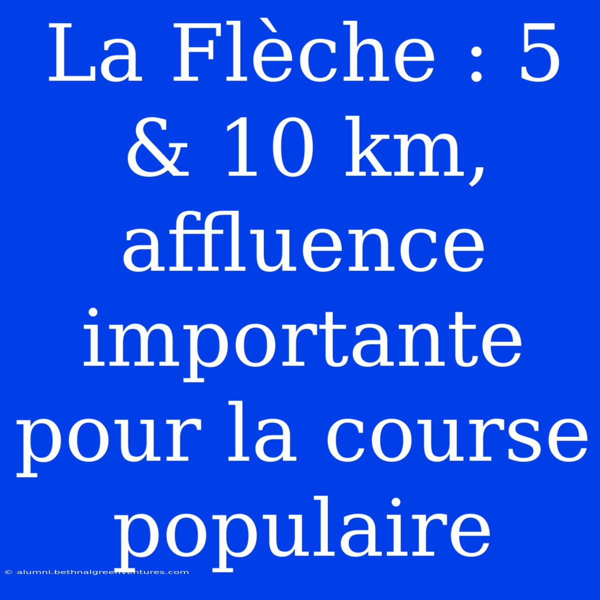 La Flèche : 5 & 10 Km,  Affluence Importante Pour La Course Populaire