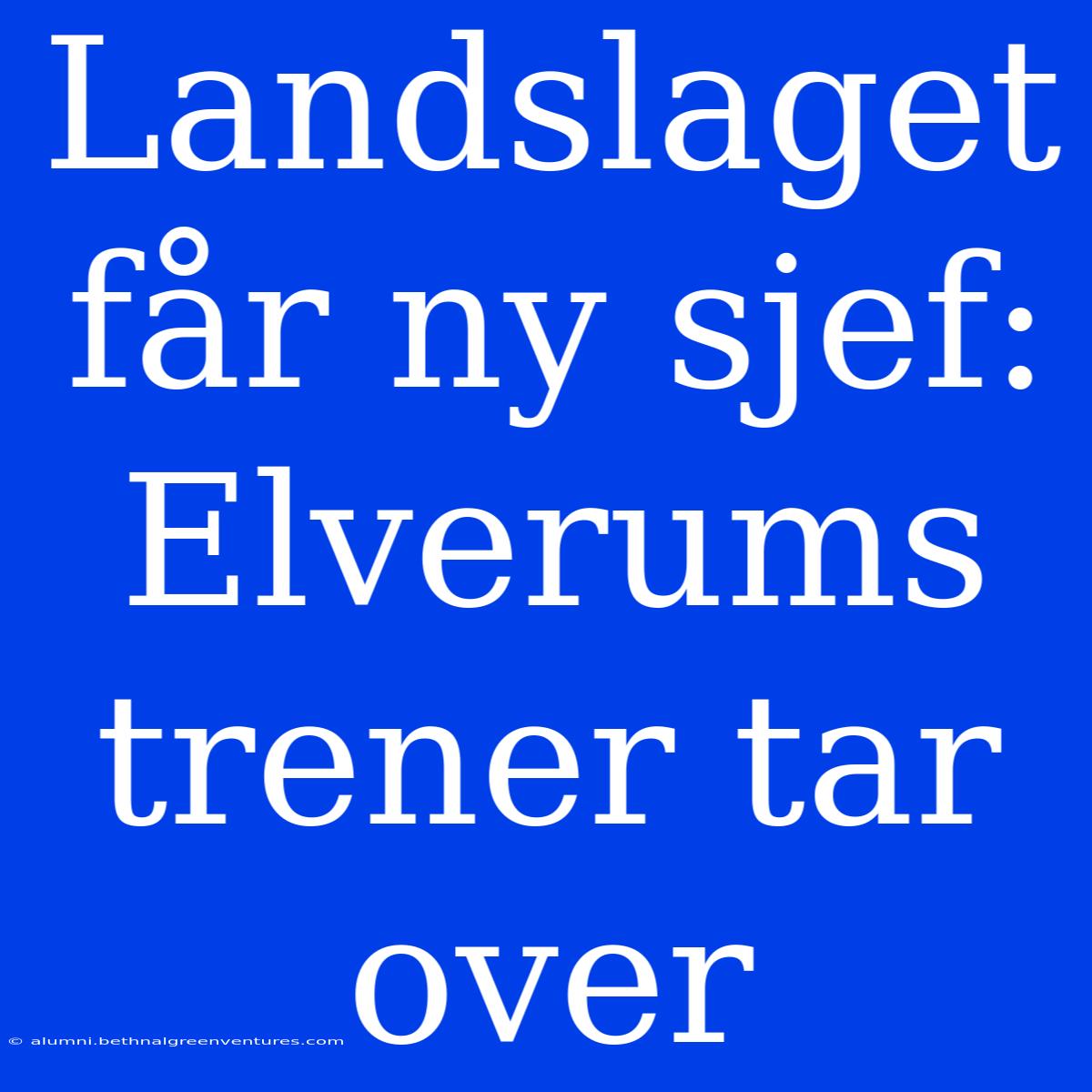 Landslaget Får Ny Sjef: Elverums Trener Tar Over