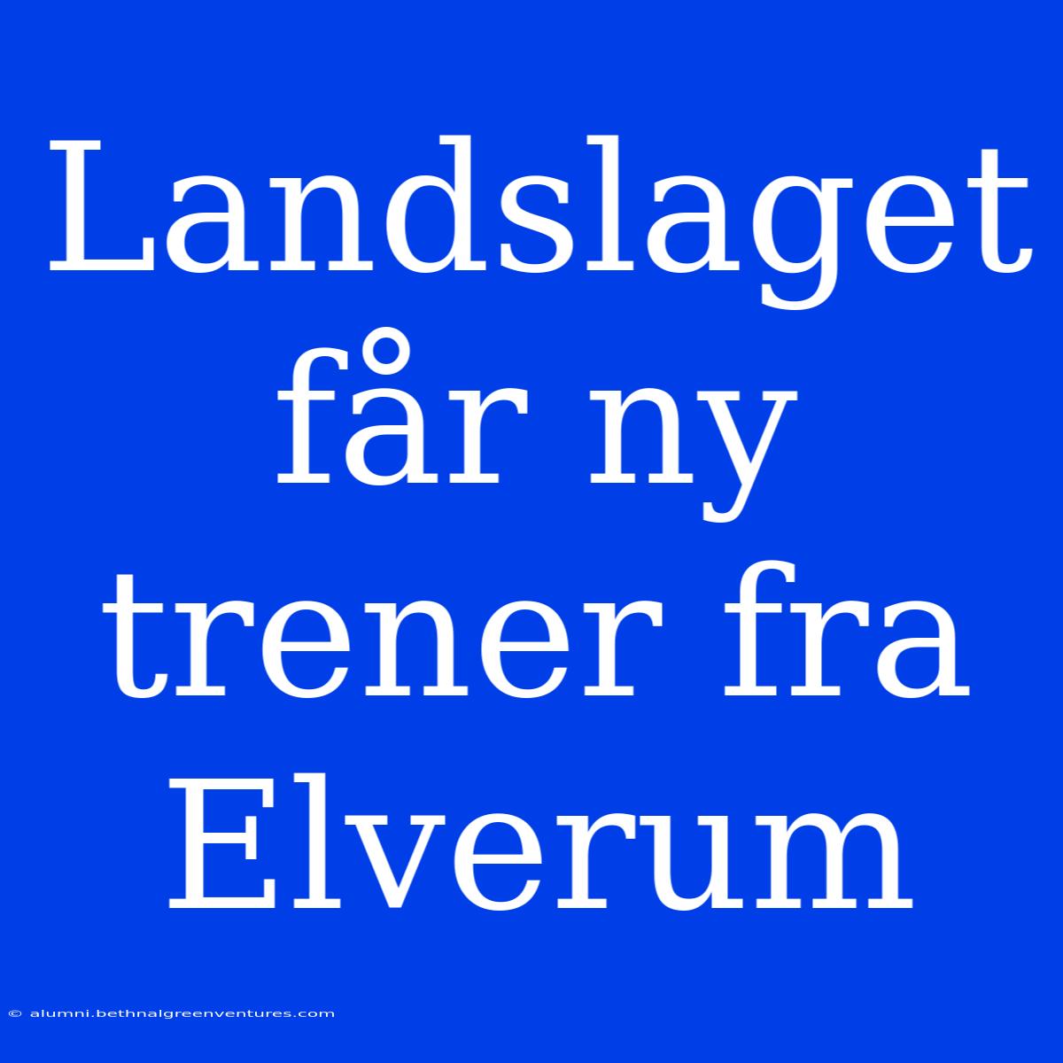 Landslaget Får Ny Trener Fra Elverum