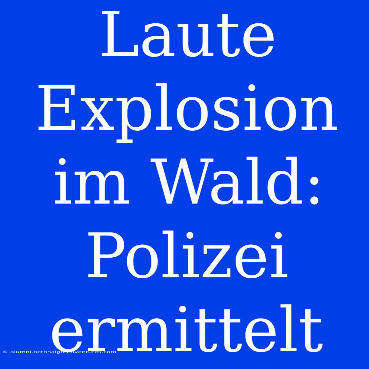 Laute Explosion Im Wald: Polizei Ermittelt 