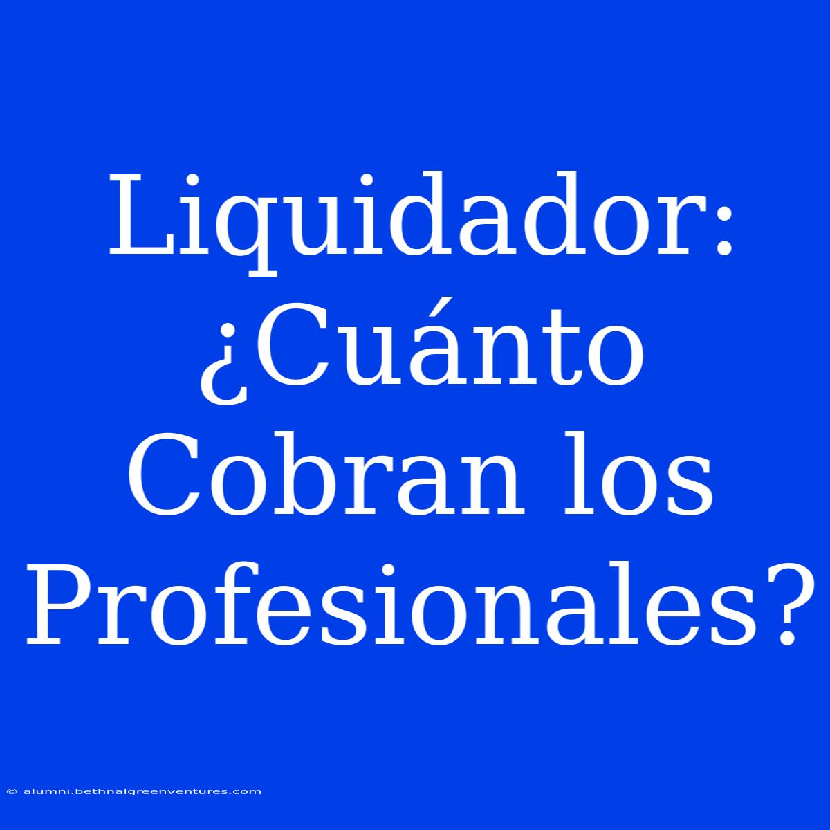 Liquidador: ¿Cuánto Cobran Los Profesionales?