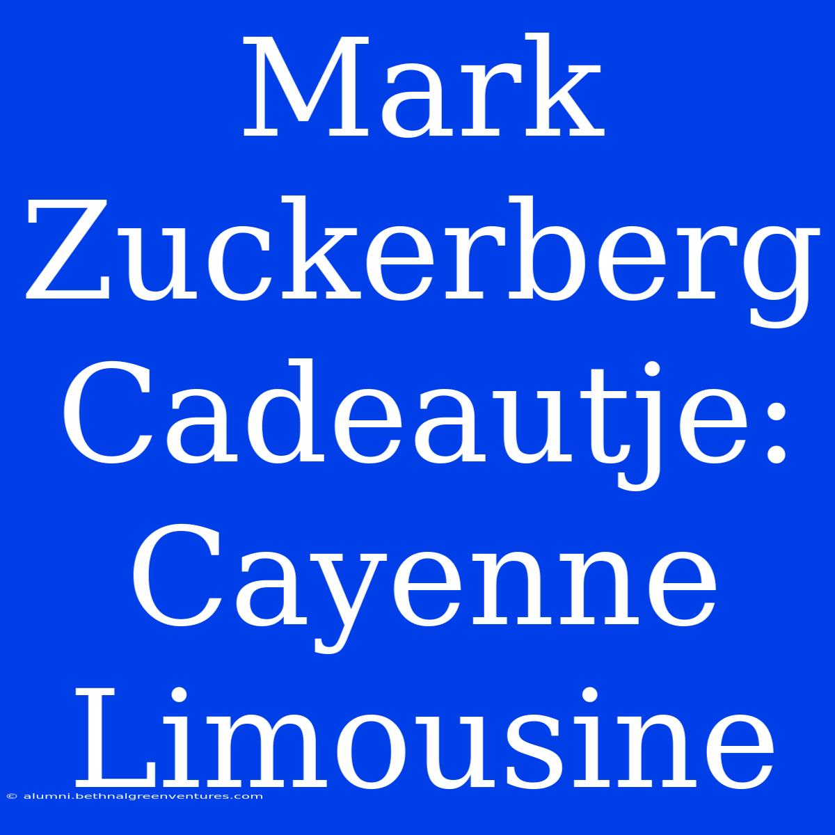 Mark Zuckerberg Cadeautje: Cayenne Limousine