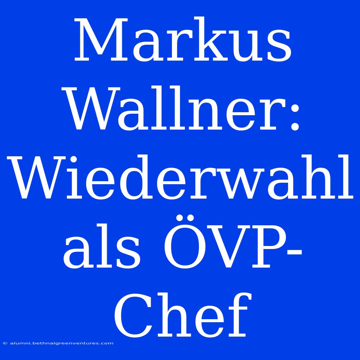 Markus Wallner: Wiederwahl Als ÖVP-Chef