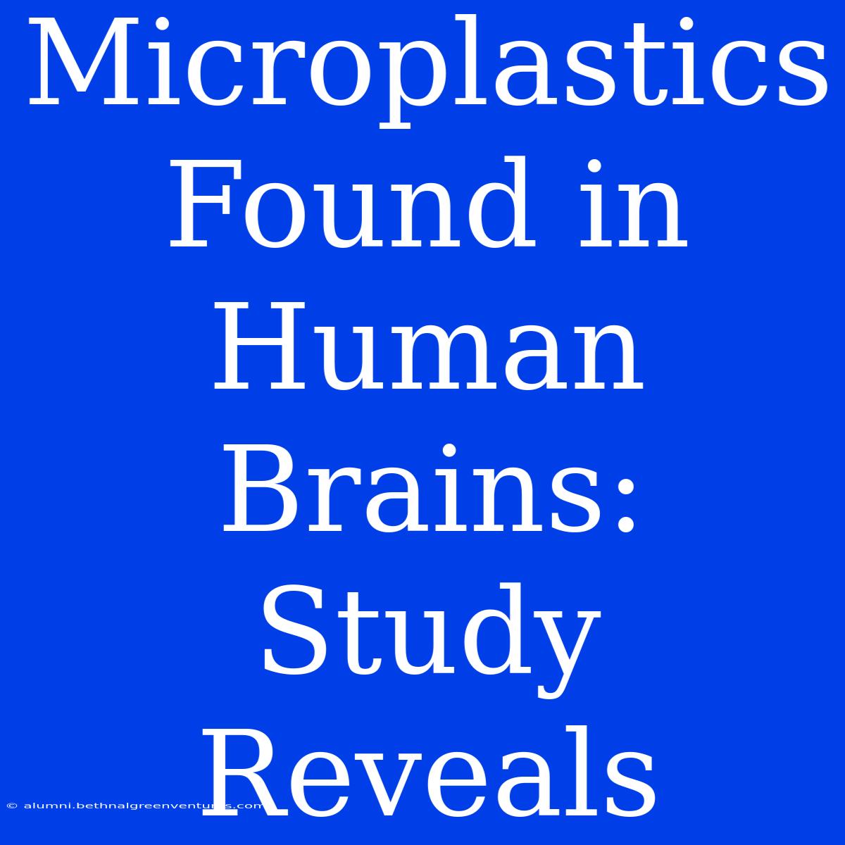 Microplastics Found In Human Brains: Study Reveals