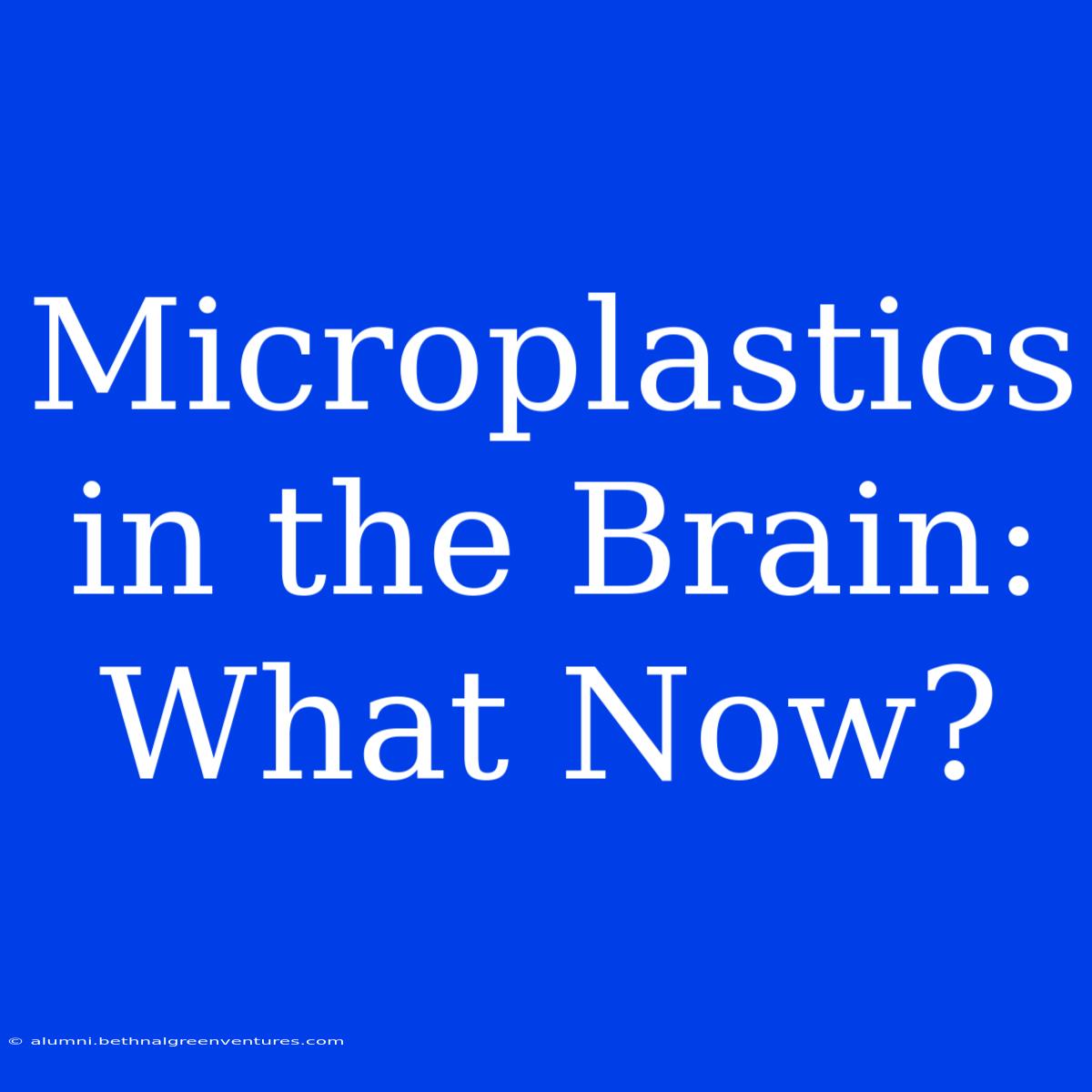 Microplastics In The Brain: What Now?