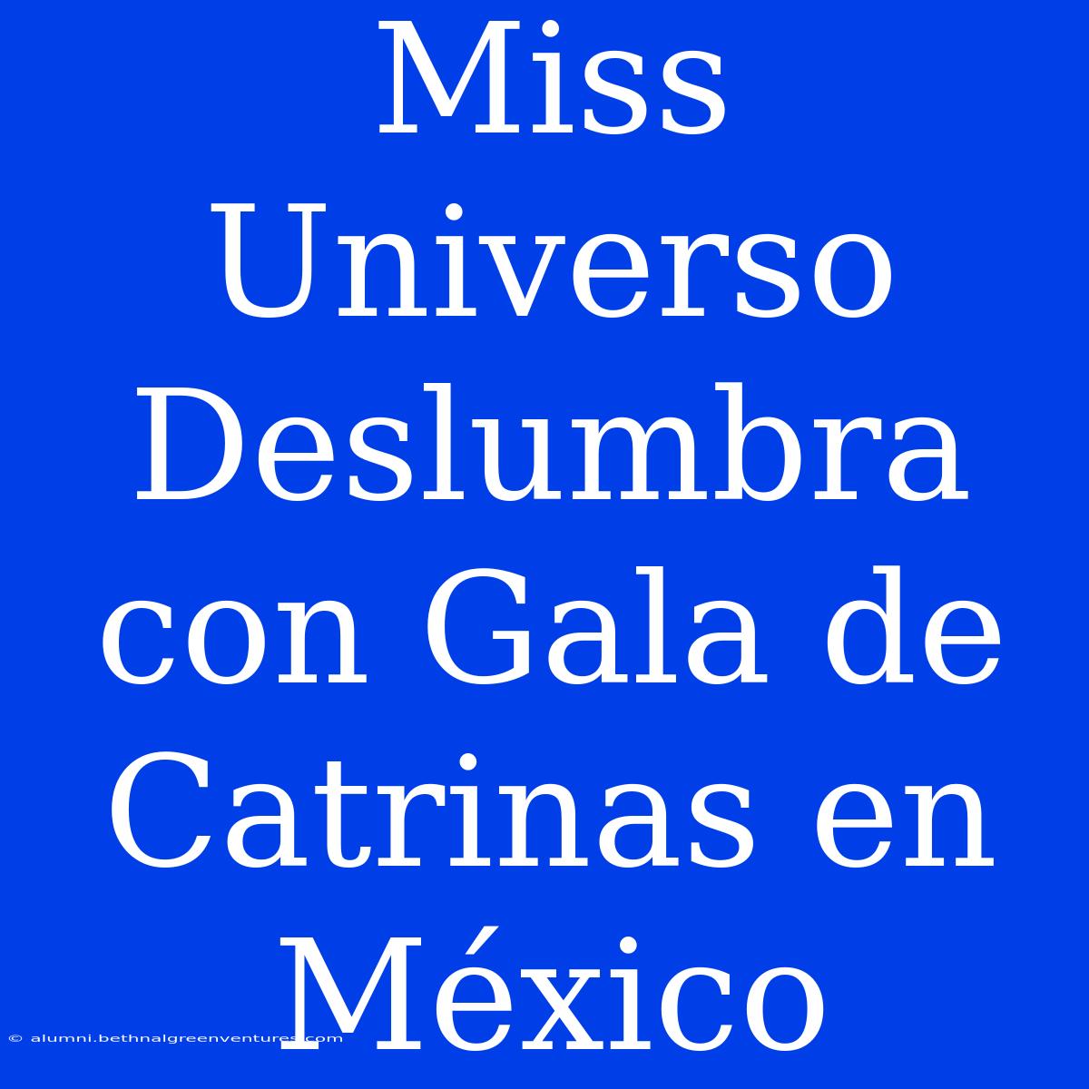 Miss Universo Deslumbra Con Gala De Catrinas En México