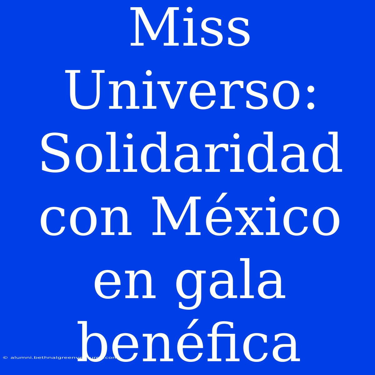 Miss Universo: Solidaridad Con México En Gala Benéfica