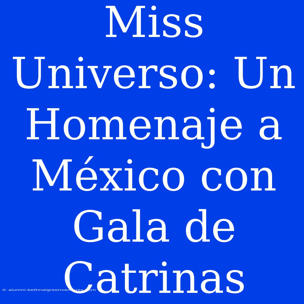 Miss Universo: Un Homenaje A México Con Gala De Catrinas